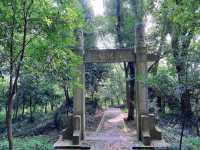 向塔而行,上海的山,上海的斜塔!