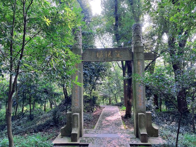 向塔而行,上海的山,上海的斜塔! 向塔而行,上海的山,上海的斜塔!