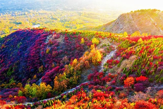 邂逅蒙山！遇見一場「美拉德」秋天！