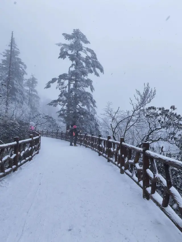 Ladies! Real shot Wawushan is snowing again