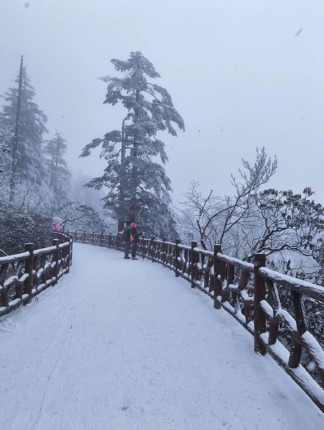 姊妹們！實拍瓦屋山又又又下雪啦