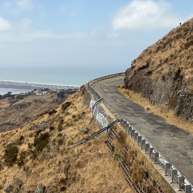 Explore City and Nature in Christchurch!