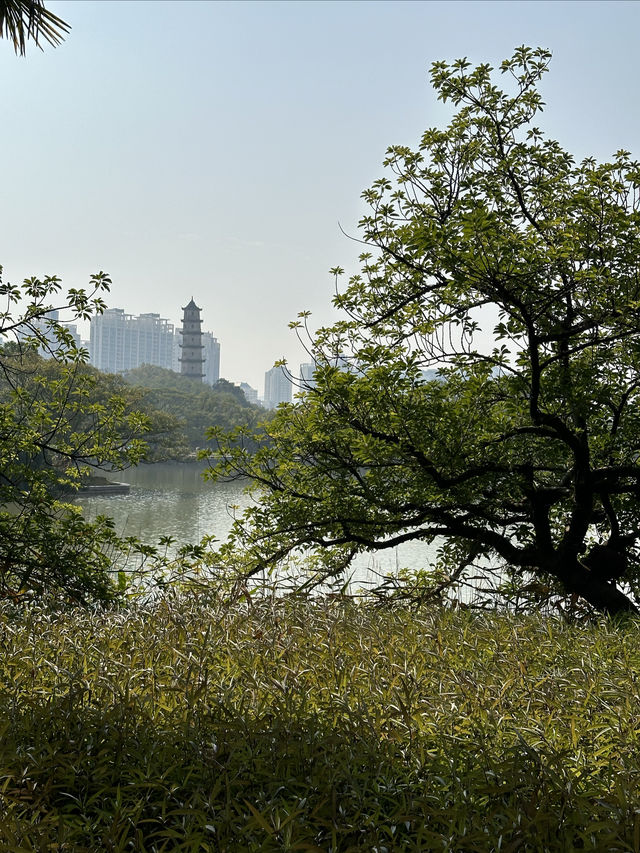 江心嶼之詩意東園