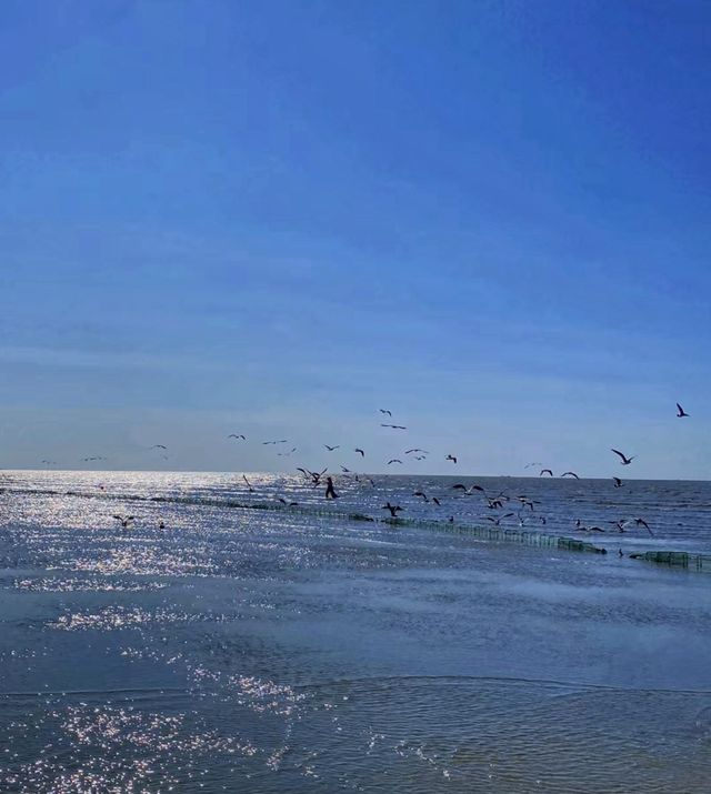 小歡海島|丹東 東港大鹿島算小眾海島