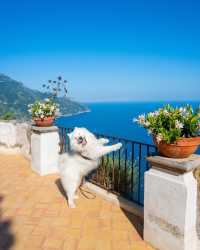 💫✨ SMILE and join Felix on an unforgettable adventure in Ravello, Amalfi Coast! 🇮🇹😍