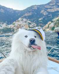 🚤🌅 Captain Felix Takes Control! Epic Boat Tour along the Amalfi Coast 🌊😍