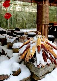 《雪後出遊竹泉村》