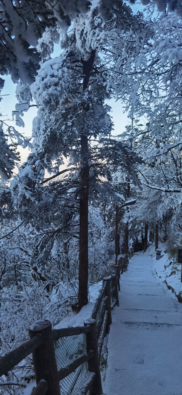 峨眉山的雪景和雲海是每年都值得親臨一次的美景