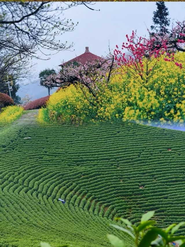 城山古道休閒徒步