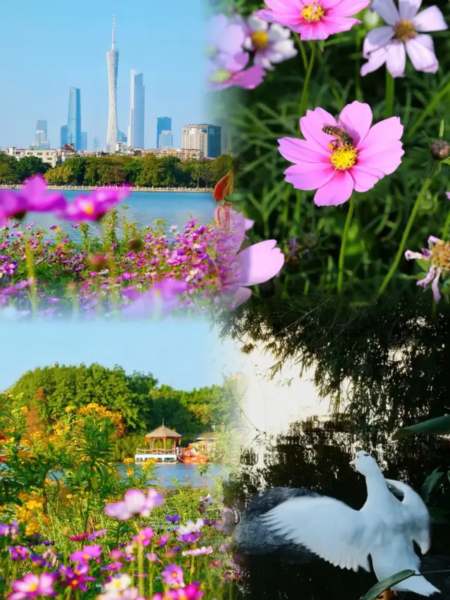 Free Flower Viewing in Guangzhou | Direct Access by Subway
