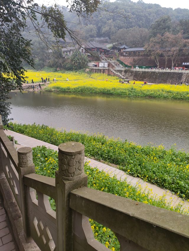 四川｜樂山，凌雲寺大佛，堅持才能到達