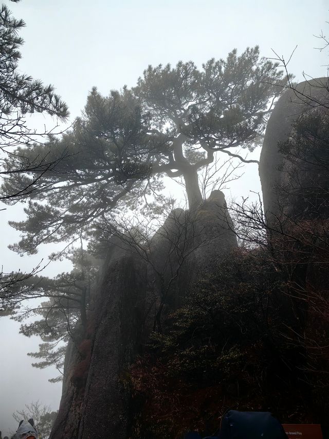 黃山風景區