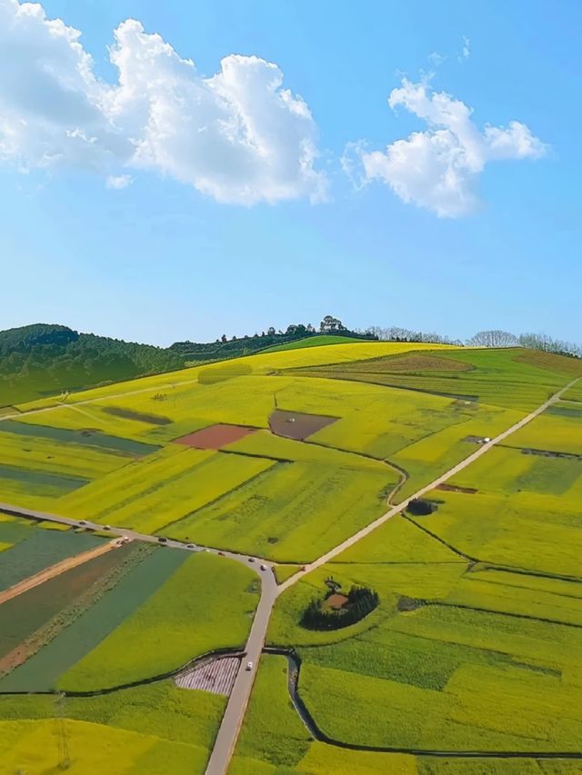 <《國家地理》沒騙我，我願稱之全世界最美春天！