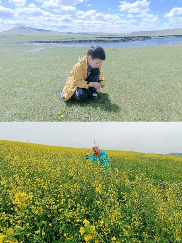 Hulunbuir Grassland Parent-Child Travel Guide