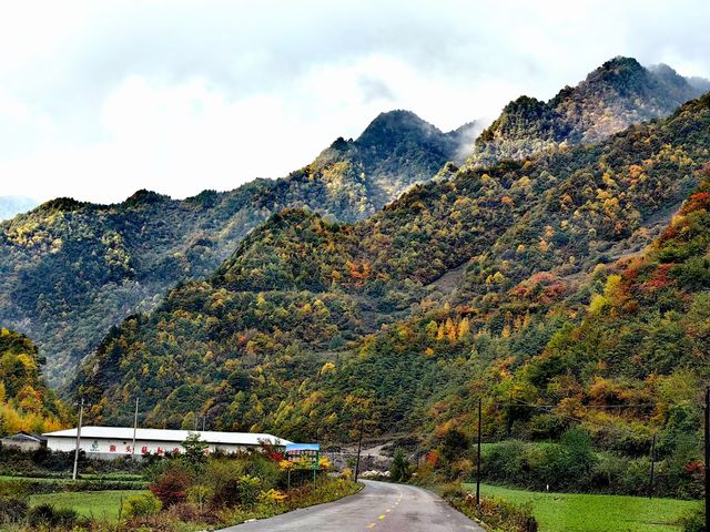 十年武山，印象渭川