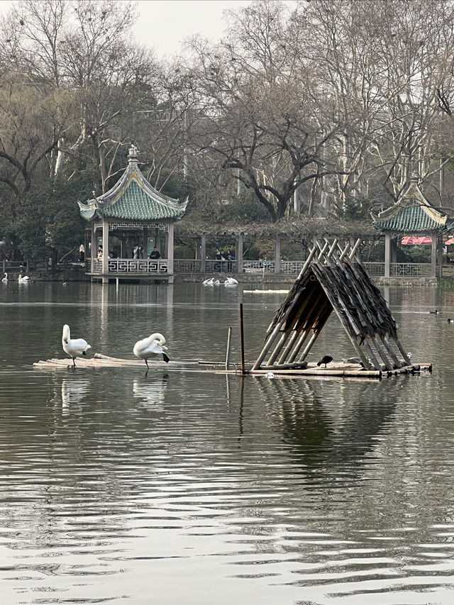 動物園一日遊，簡單易懂隨心攻略