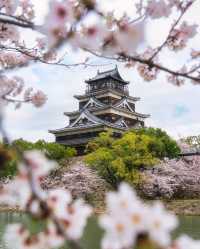 🌸
広島旅行