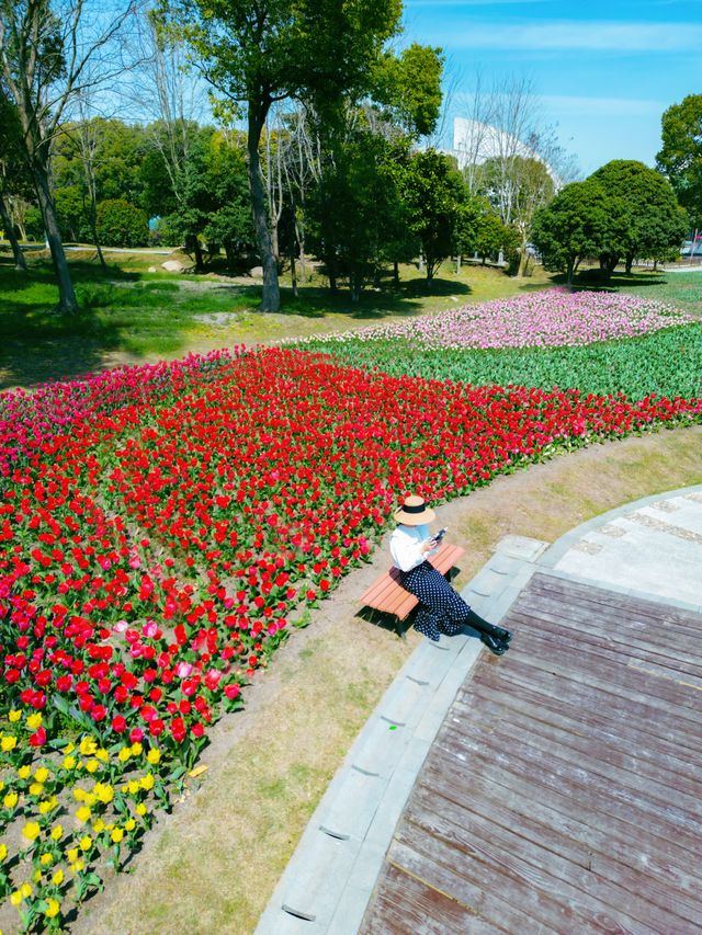 莫奈花園走進現實！在上海狂拍1000張！