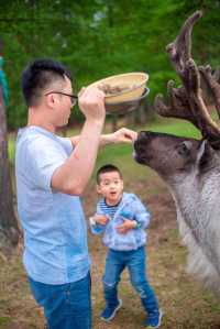 走、寶貝帶你去草原撒歡兒去