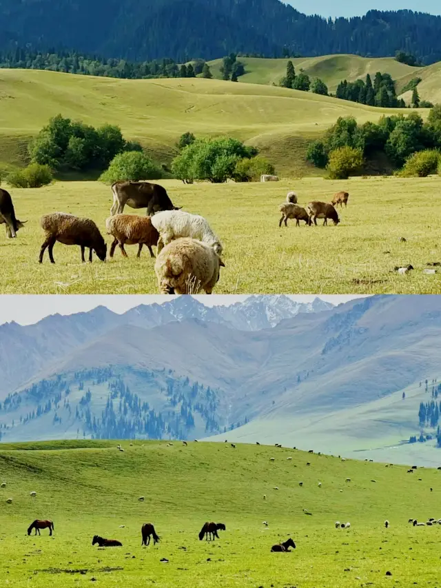 Nalati Grassland in the Sky, a real-life version of Hayao Miyazaki's animated world