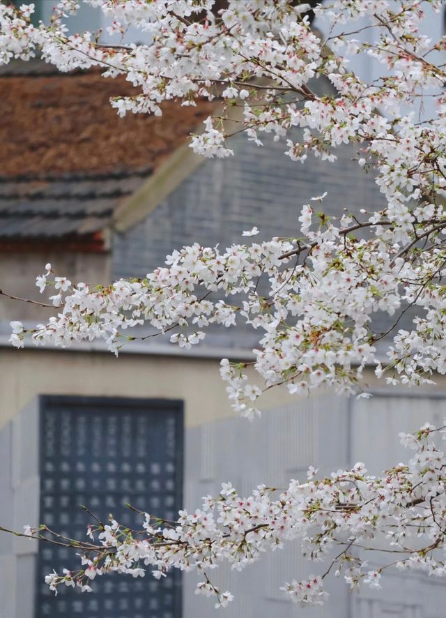 古雞鳴寺