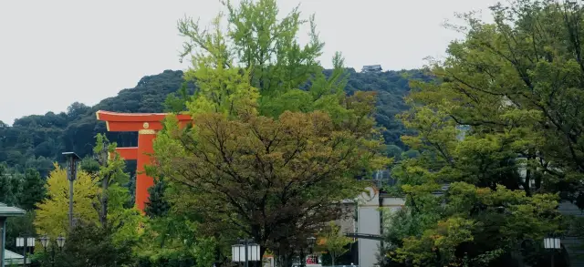 10月の日本、関西のオフピーク旅行 京都平安神宮 四条町 鴨川