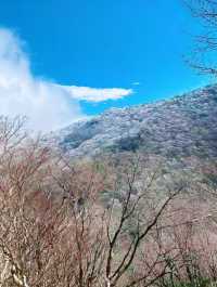 韓國第一高峰（遠足和徒步旅行愛好者的天堂）——漢拿山
