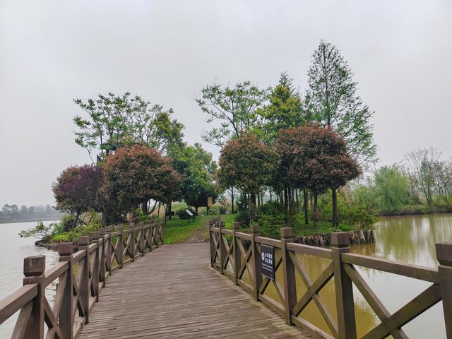 人與自然，和諧共生——大美洋沙湖濕地公園