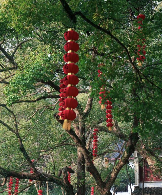 杭州｜春天我最愛的6個浪漫小眾寶藏地