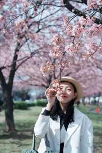 櫻花難民在東京拍到了人生照片！