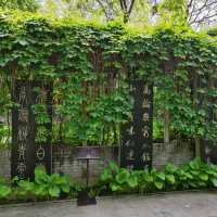 太原碑林公園·看傅山書法