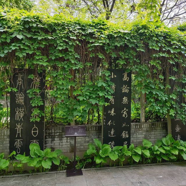 太原碑林公園·看傅山書法