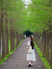 廣州天河這個抹茶綠公園拍照太好看了吧！
