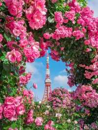 Flowery Tokyo Shiba Park Japan 😍♥️🇯🇵