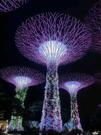 Relax at Marina Bay Garden 🇸🇬