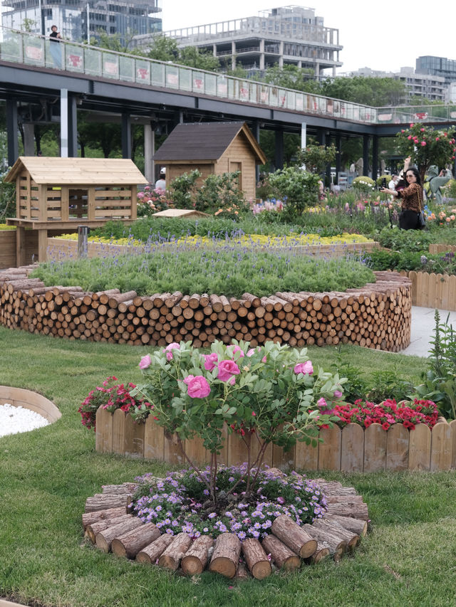 上海賞花已經next level徐匯濱江花展浪漫住了