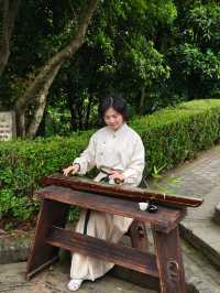 聽勸，五一快來佘山天馬山園免費喝茶