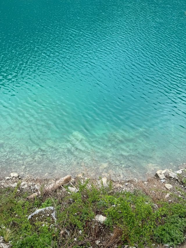 在九寨溝拍到了無法抉擇的美景|||這是5月2日的九寨溝