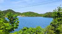 河南信陽 | 新縣金蘭山國家森林公園
