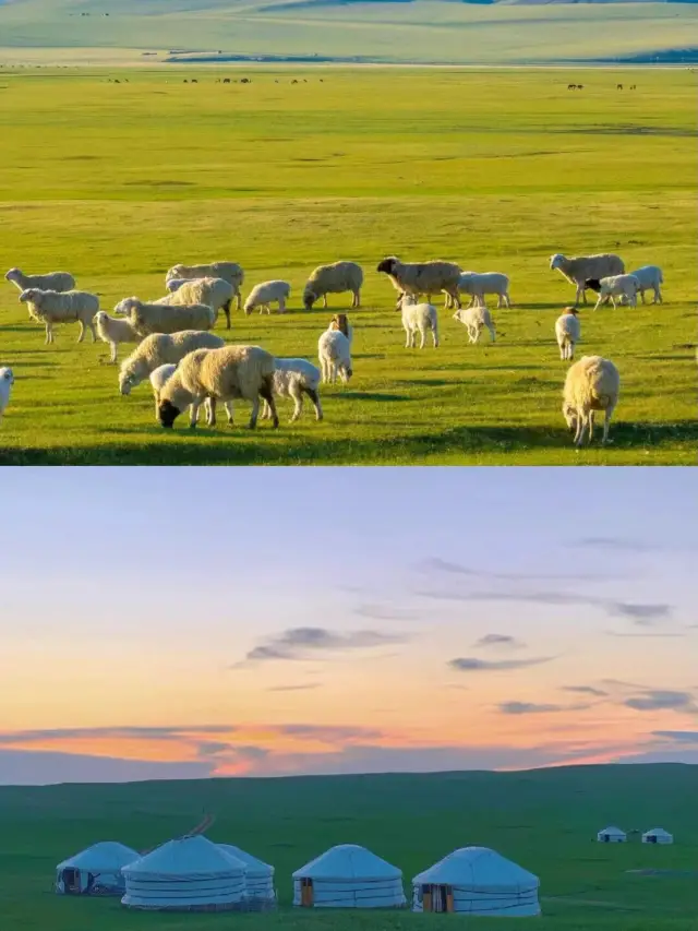 内モンゴル｜砂漠のディズニー