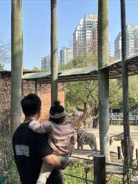 不用排隊的廣州動物園！內附帶娃攻略