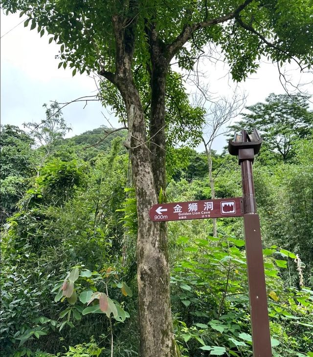 拜託了！我踩過的雷，大家別踩了！