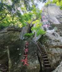 露營佳地“天華山”