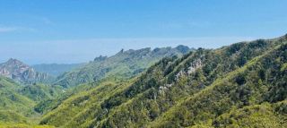 Don't miss out! The ultimate summer retreat guide to Laojie Ridge from Nanyang!