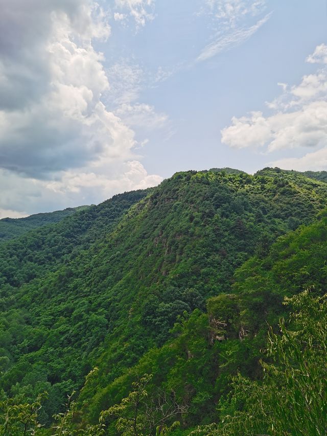 麟山探秘｜巔山千佛朝如來