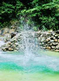 原始森林公園，絕美之旅
