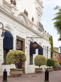 🌟 Guadalajara Getaway Gems: Top Hotel Picks! 🏨✨