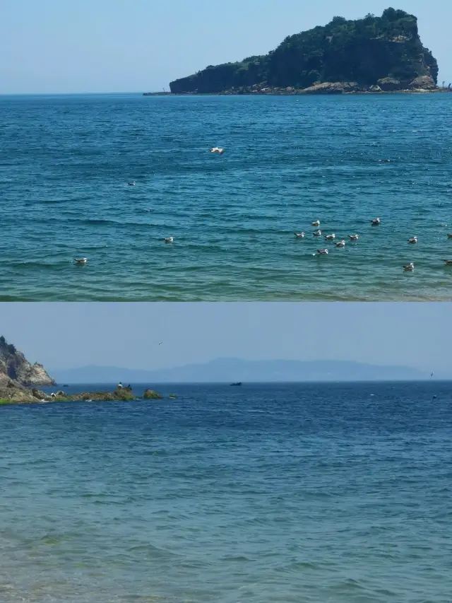 大連-棒棰島旅遊攻略