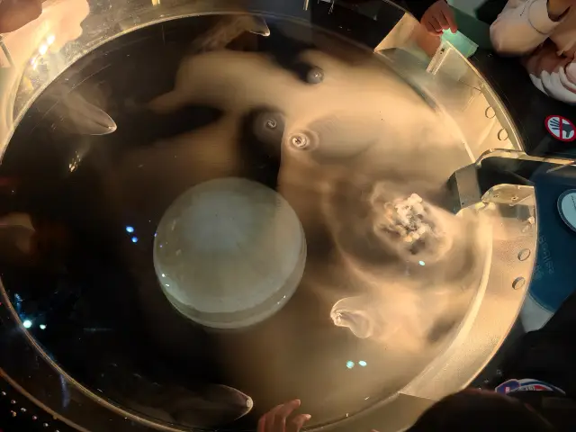 홍콩 아이와 함께|홍콩 우주 박물관 가이드