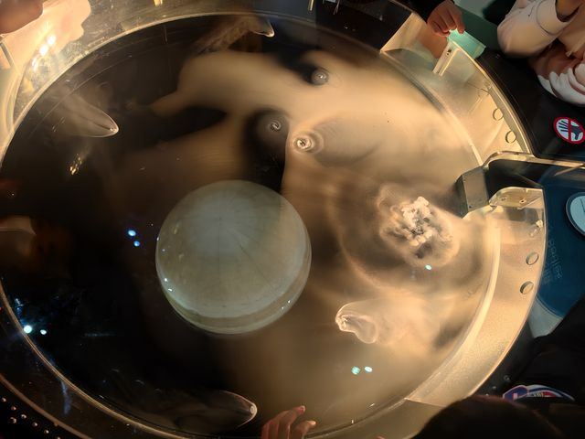 香港遛娃|香港太空館攻略 香港遛娃|香港太空館攻略